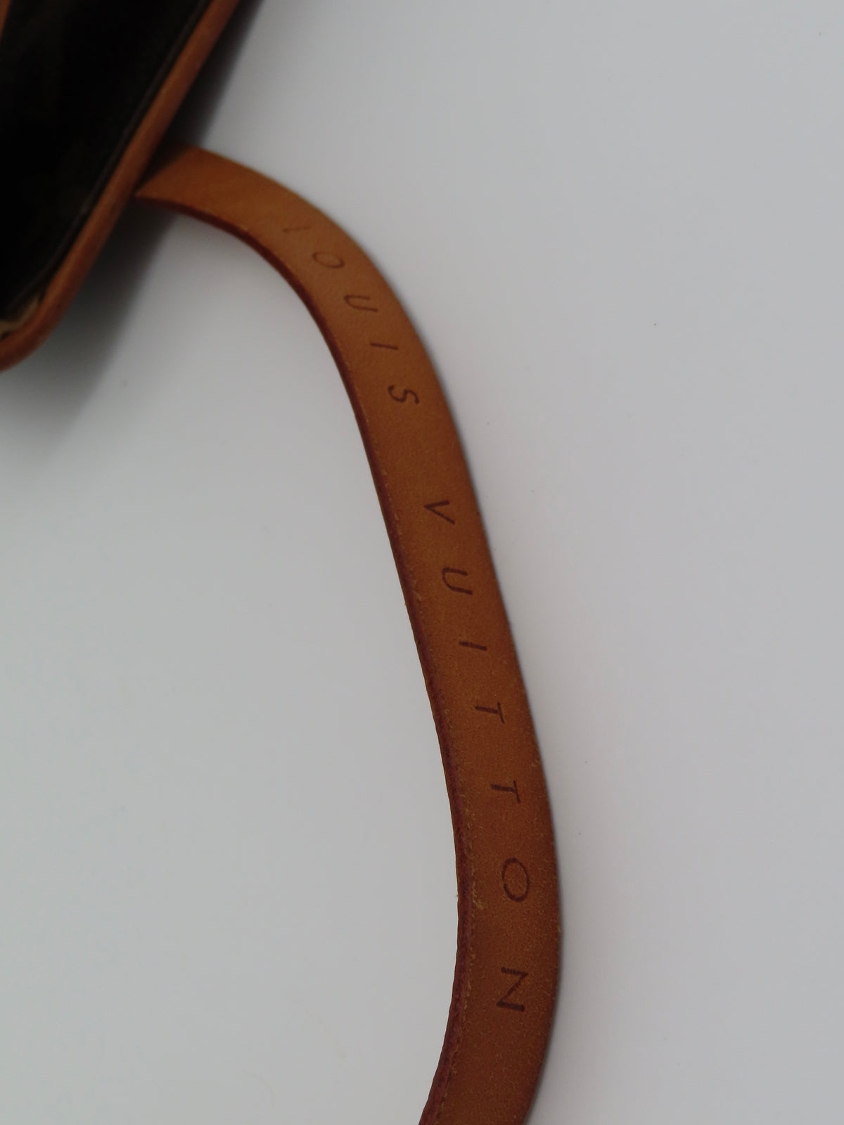 Louis Vuitton Florentine